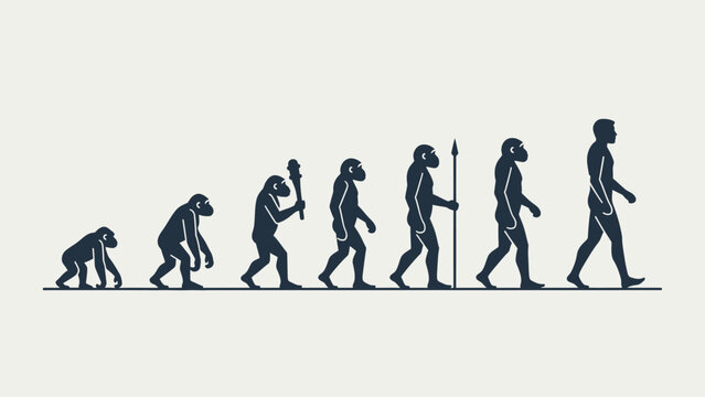 Human Evolution Timeline featuring minimalist dark silhouettes showing the progression from primate to modern man on a clean background ideal for educational materials and biology presentations.