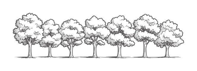 Row of stylized hand drawn trees with textured foliage and trunks nature forest © Mehedi