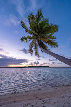 Sunset on a tropical palm beach