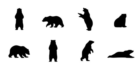 Fototapeta premium Bears in Various Poses and Positions as Black Silhouettes on a White Background Featuring Bear, Silhouette, Animal with Wildlife and Nature Elements