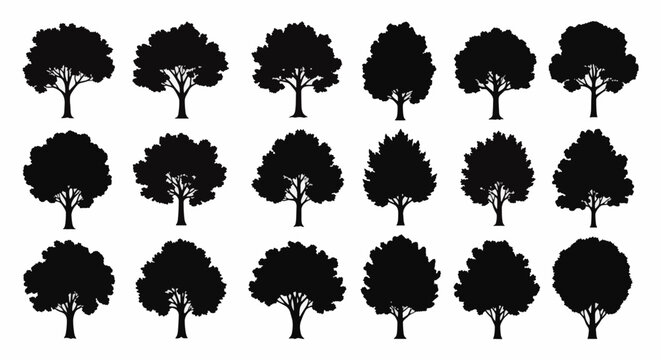 Set of eighteen black sycamore tree silhouettes in a grid on white background. Features diverse deciduous shapes, branch patterns, and dense foliage for architectural or landscape design.
