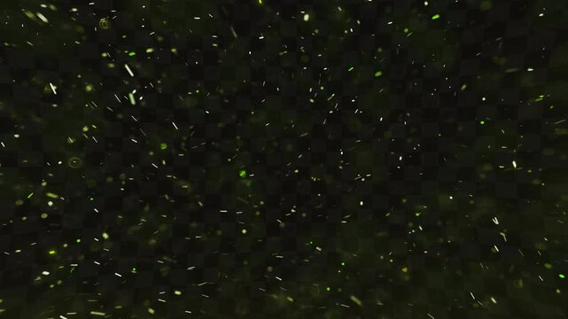 rain drops on window