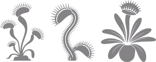 Three stylized of venus flytrap plants in gray tones © Mohammad