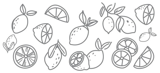 Fototapeta premium Lemon doodle fruit hand drawn vector illustrations set. Citrus, orange wedge, tropical lime with crayon texture.