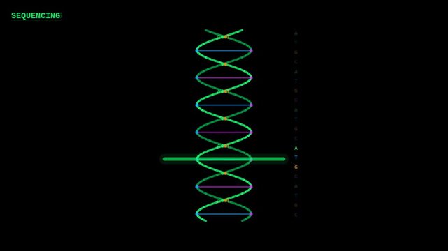 Green DNA sequencing HUD scan animation with base pair scanning beam overlay for genomics