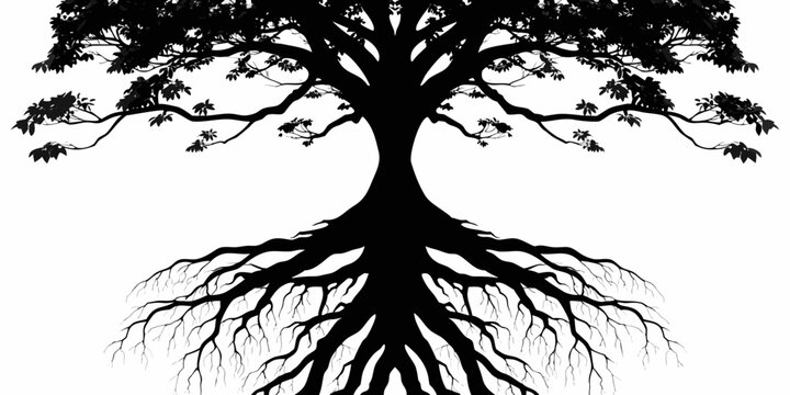 Black silhouette of a large leafy tree with an extensive and intricate underground root system isolated on a white background silhouette environment underground branches foundation strength