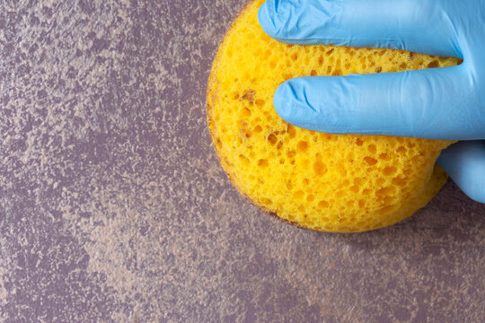 Person applying gold paint to a wall with a sponge to give a textured paint effect. Interior design painting technique.