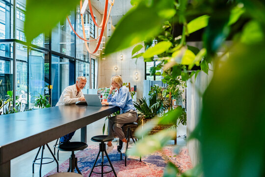 Employees having a business meeting in a modern office with plants