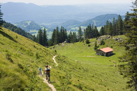 Riding a mountain bike down a dirt trail in a green mountain valley