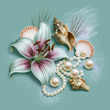sea shells