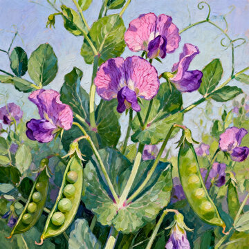 Impressionist Oil Painting of Sweet Pea Flowers and Pea Pods
