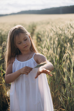 Enjoying the tactile sensation of a serene wheat field in nature