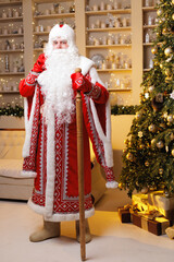 Obraz premium Ded moroz in red costume by christmas tree with gifts in holiday decor setting