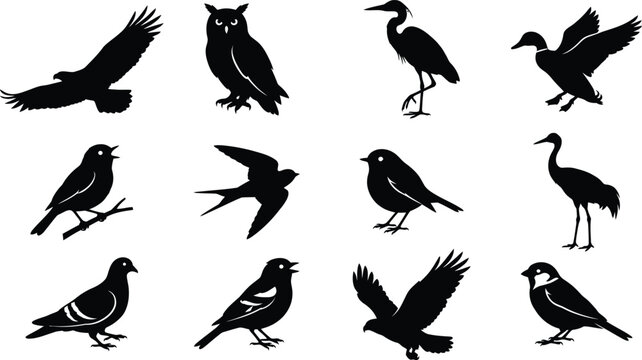 Black bird silhouette collection featuring flying, perched, and wading species including owl, heron, duck, pigeon, and songbirds for wildlife, nature, and design illustration.