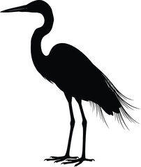 Obraz premium Detailed black silhouette of a graceful standing heron bird isolated on a pure white background, ideal for wildlife nature vector graphic design projects.