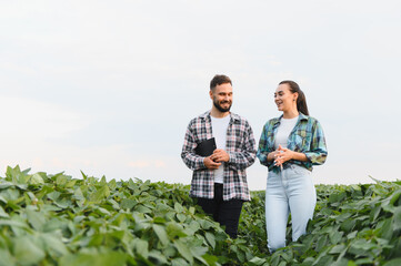 Obraz premium Two farmers discussing in a soybean field during a sunny day