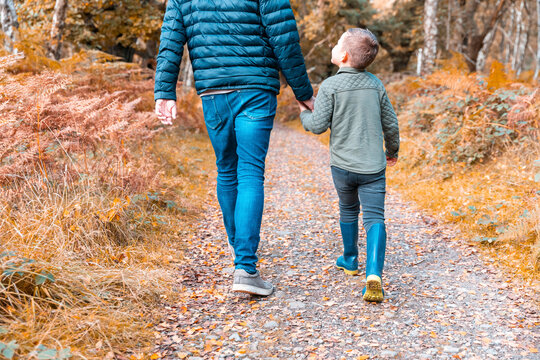 Low section of father holding hands of son while walking in Cannock Chase park during autumn