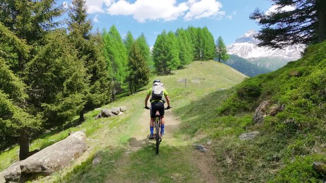 Dosso dei vetti, Chiesa in Valmalenco, Italy: Mountain Bike Journey Along Winding Forest Path in Nature