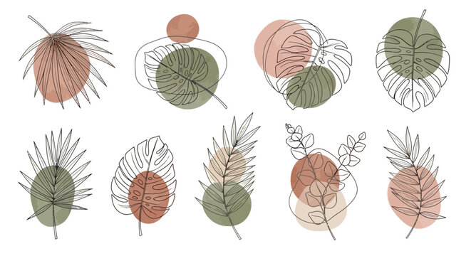 Abstract botanical illustrations with leaves and circles in neutral colors on a white background
