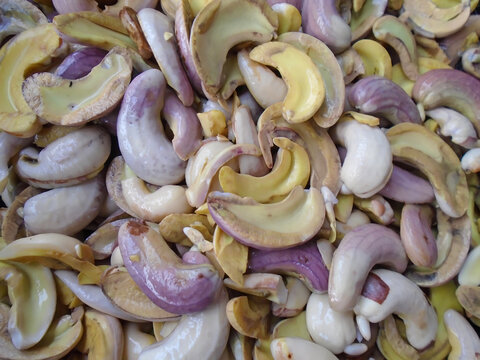 Close-up texture of colorful raw cashew seeds before roasting