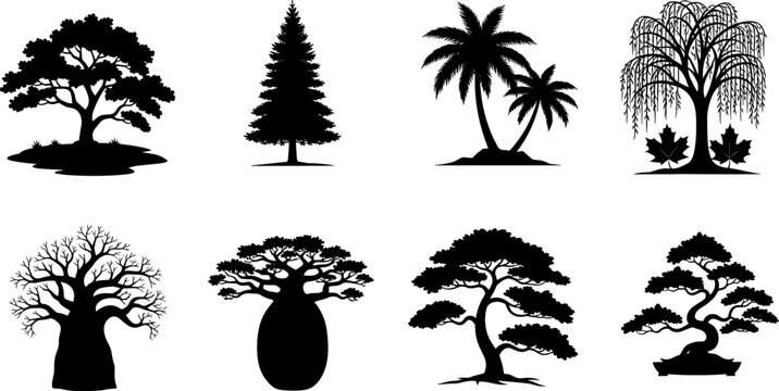 Tree silhouette illustration featuring oak, pine, palm, willow, baobab, and bonsai trees symbolizing nature, forest, and design concepts