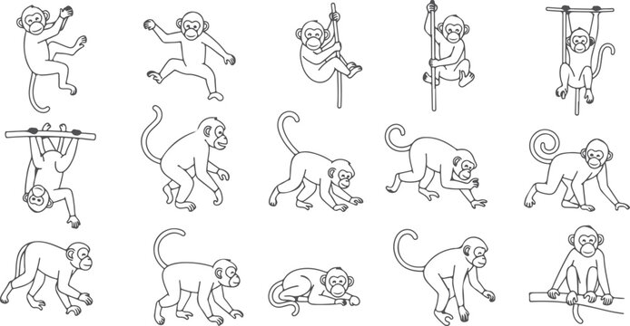 Set of monkey illustrations in various poses monkey hanging upside down climbing swinging sitting and walking.