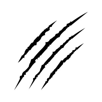 Black claw scratches on a white background animal claw marks aggressive texture illustration
