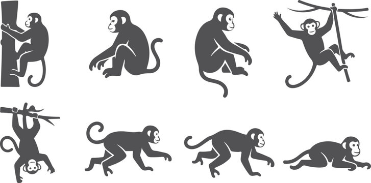 Playful monkey silhouettes in various poses, climbing, swinging, and resting.