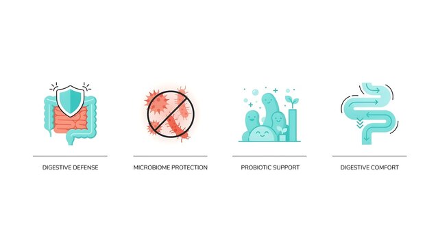 Gut health icons: defense, probiotics, microbiome