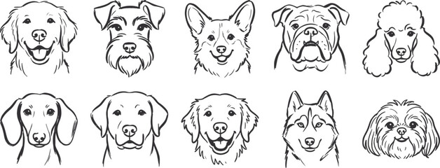 Dog head drawing, scribble chalk or charcoal style. Golden retriever, Labrador, schnauzer, bulldog, poodle, dachshund, husky, shih tzu, maltese. © Design Shop