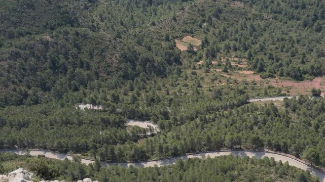 Aerial View of Winding Mountain Road Through Conifer Forest
