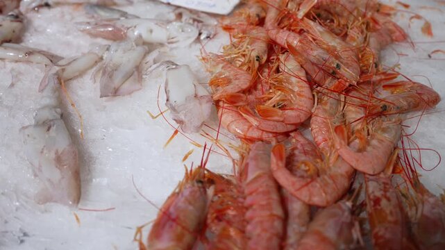 Fresh raw squid and shrimp on a bed of ice at the market.