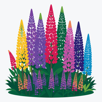 A vibrant floral arrangement of colorful lupines in various hues