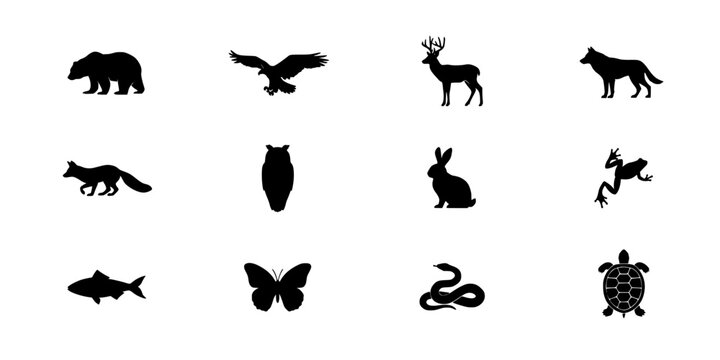 Animals Silhouettes Featuring a Bear, Eagle, Deer, Dog, Fox, Owl, Rabbit, Frog, Fish, Butterfly, Snake, and Turtle