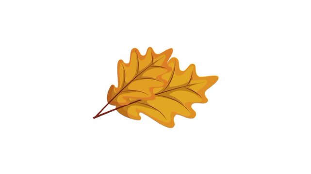 Autumn maple leaf 3d icon animation