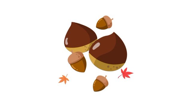 Acorn and oak leaf 3d animation