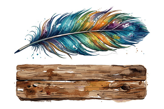 Vector illustration watercolor painted colorful feather and rustic wooden planks natural objects.