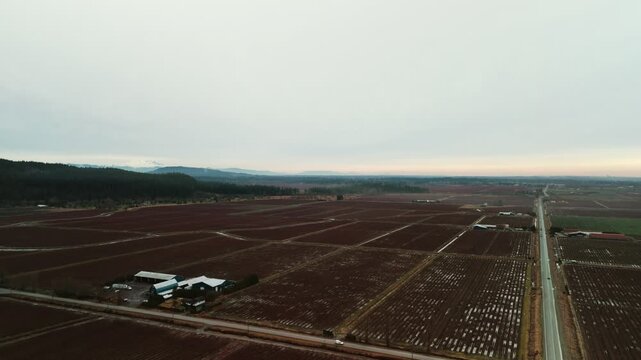 Dark red cranberry fields stretch alongside straight rural highway revealing white farmhouses agricultural outbuildings flat valley terrain fading into distant horizon beneath overcast winter sky