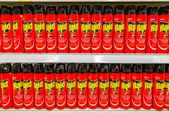 Hurghada, Egypt &ndash; february 27, 2026: Raid insecticides in metal aerosol cans on supermarket