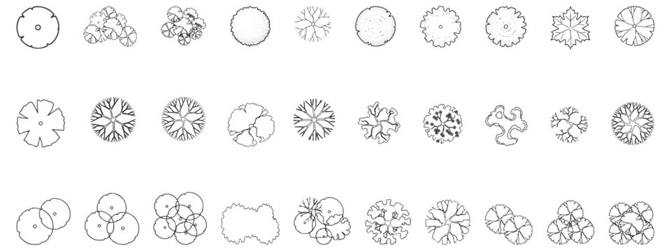 Top View Trees CAD Collection Deciduous Canopies, Ornamental Tree Symbols, Landscape Planting Elements and Architectural Tree Blocks &ndash; CAD Block Set Top View, Clean Thin Line Architectural Style
