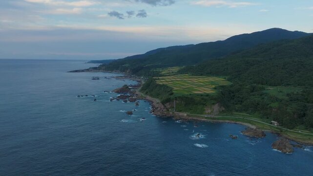 Rugged Towering Cliffs With Farmlands Along Senkaku Bay On Sado Island, Niigata, Japan. Aerial Drone Shot