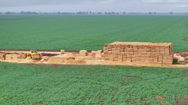 Large haystack and telehandler beside green crop fields near Yarrawonga Victoria Australia