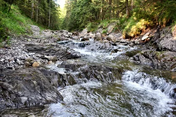 Fototapeten Wald Fluss fast flowing mountain river with rocky rapids in a green forest in Slovakia  © eve