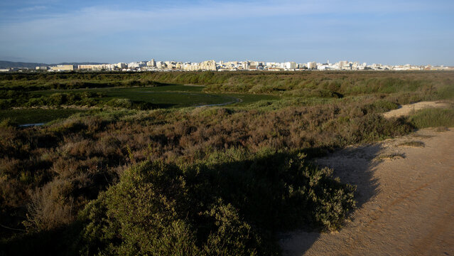 Ria Formosa mit Blick auf Skyline von Faro