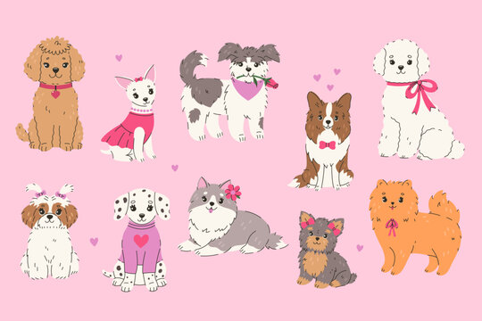 A set of cute dogs of different breeds. Vector graphics.