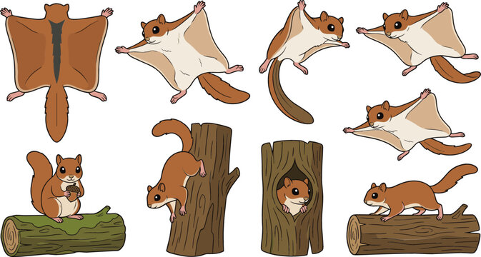 Cute Flying Squirrel Vector Illustration Set Featuring Various Poses Gliding Climbing and Nesting Actions for Wildlife and Nature Graphic Designs