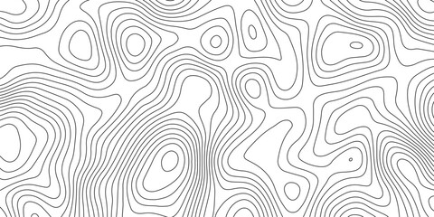 Fototapeta premium Minimalist abstract topographic contour lines, flowing organic curves, monochrome line art, clean seamless pattern, modern map-inspired design, white background.
