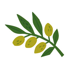 Obraz premium PNG Vibrant olive branch illustration