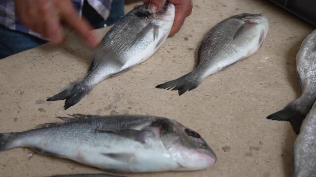 Fishmonger cleaning fresh sea bream fish at the market.