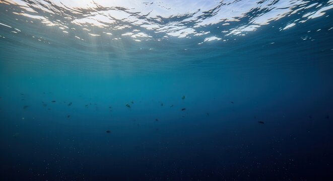 sunlight filtering through ocean water with small fish swimming